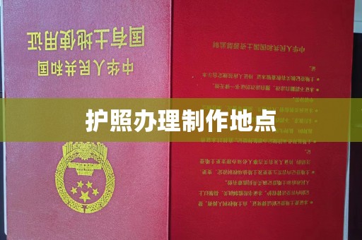 九龙坡护照办理制作地点