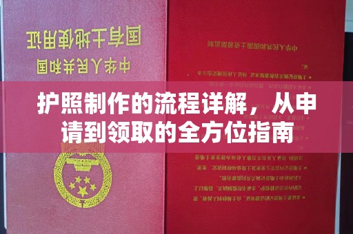 九龙坡护照制作的流程详解，从申请到领取的全方位指南