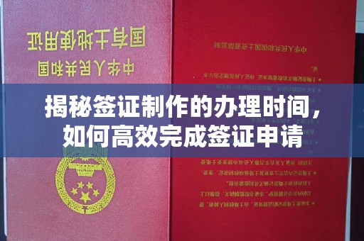 九龙坡揭秘签证制作的办理时间，如何高效完成签证申请