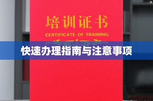 九龙坡快速办理指南与注意事项